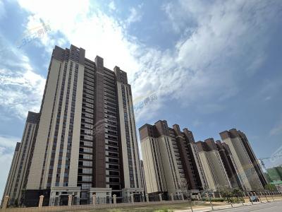 2022.7.17�Ռ����D