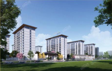 ����孺�Ч���D