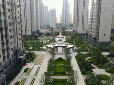 �@�֌����D