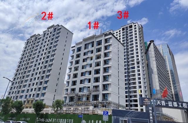 2022.8.17�Ֆ|�Ȍ����D