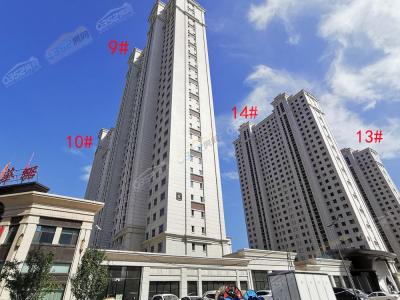 2022.8.20�|�^(q��)�����ǌ�(sh��)��