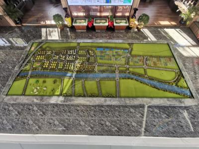 ɳ�P�����D