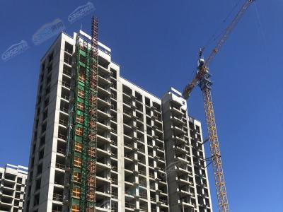 35#�ǌ�(sh��)���D