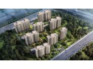 ��ͬͩ�����֡����@�Ŀ�Ӯ�