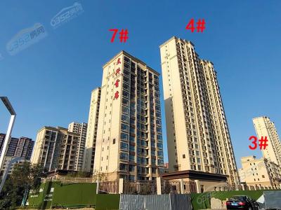 2022.9.15�����Ȍ����D