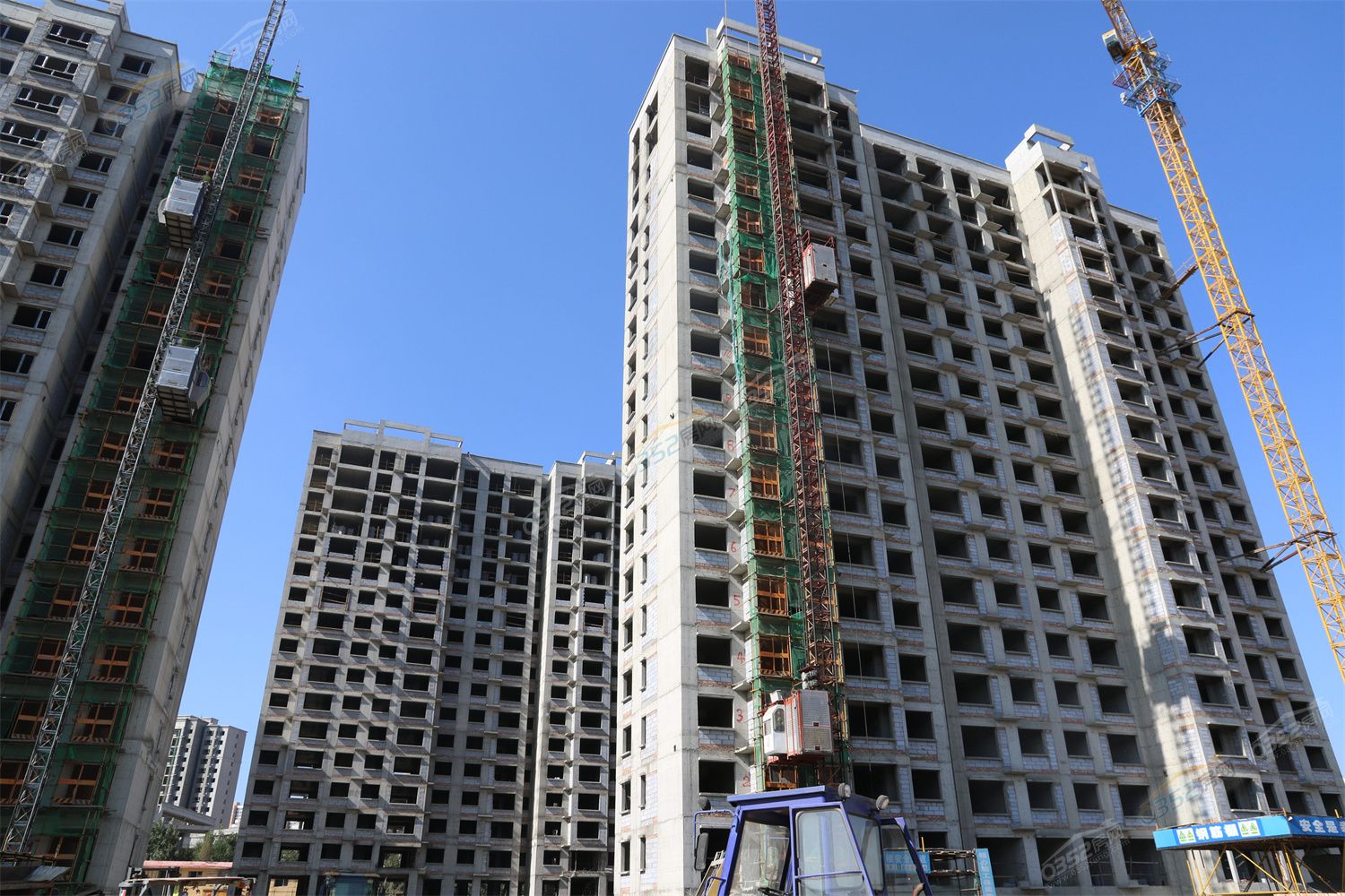 CJ3A3826.jpg CJ3A3826.jpg