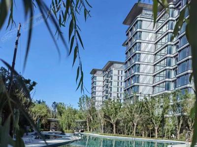 ���������D