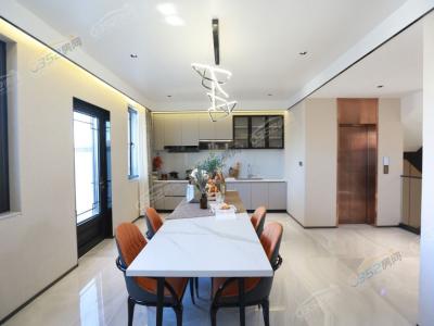 B�Ӱ��g�����D