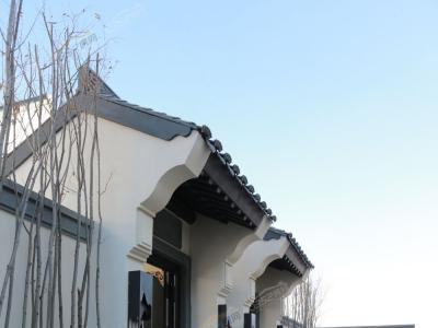 �Ӱ��g����չʾ�D