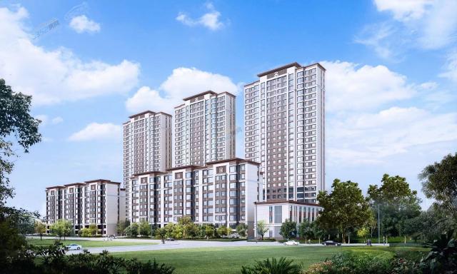 סլ������Ч���D