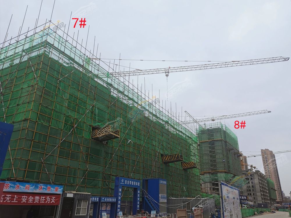 xuelin_鍓?湰.jpg xuelin_鍓?湰.jpg