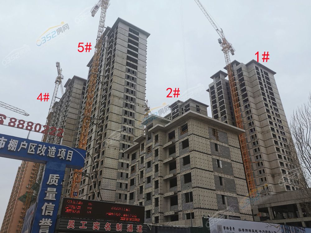 xuelin1_鍓?湰.jpg xuelin1_鍓?湰.jpg