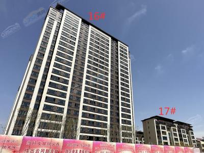 2023.4.22�������Z�������D