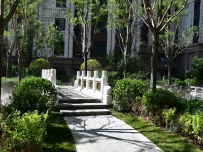 ������(sh��)���D