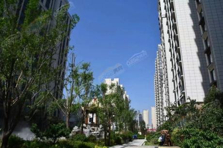 ������(sh��)���D