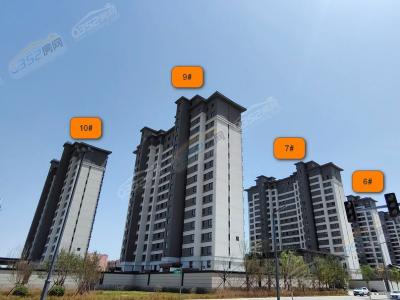 2023.05���Ȍ��ĈD