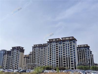 2023.05�����D