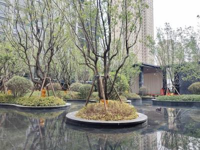 2023.06.18�����@�֌�(sh��)���D