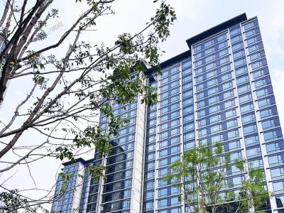 2023.06.18������(sh��)���D