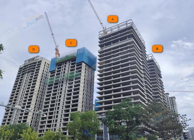 2023.7.4���Ȍ����D