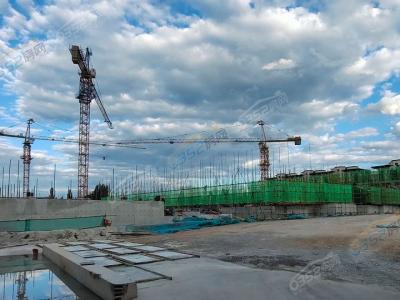 2023.7.10�Ռ�(sh��)���D