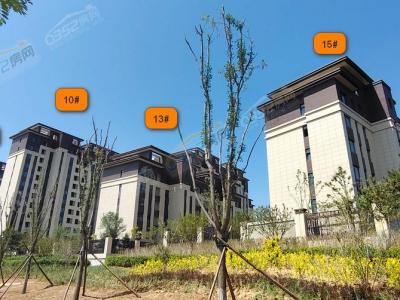 2023.7.11���Ȍ��ĈD