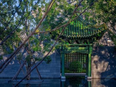 ʾ���^����