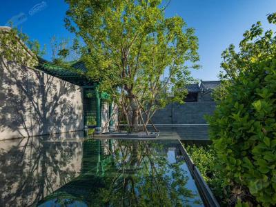 ʾ���^����