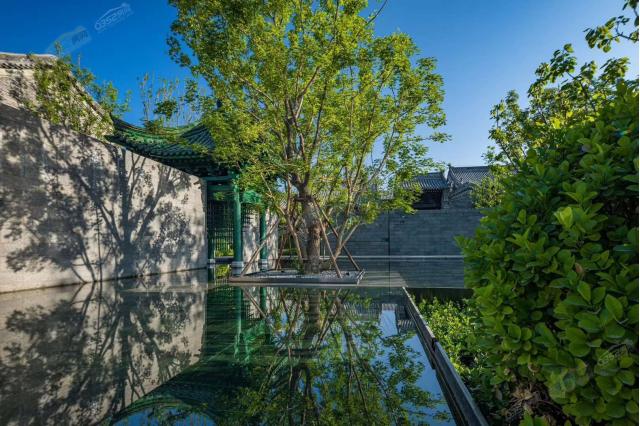 示范區(qū)實(shí)景