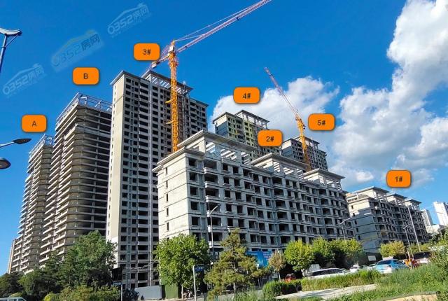 2023.8.10���ςȌ����D