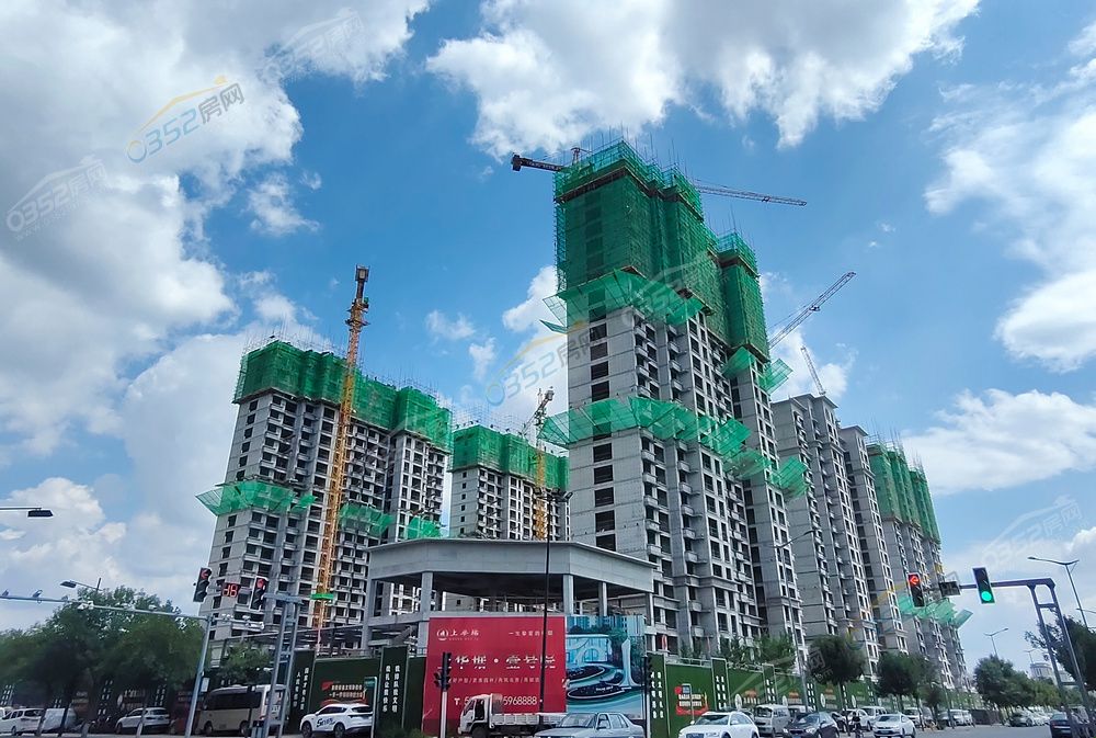 shanghuaju3.jpg shanghuaju3.jpg