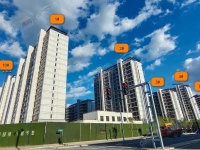 2023.8.10���Ȍ����D