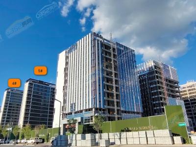 2023.8.10�ςȌ����D