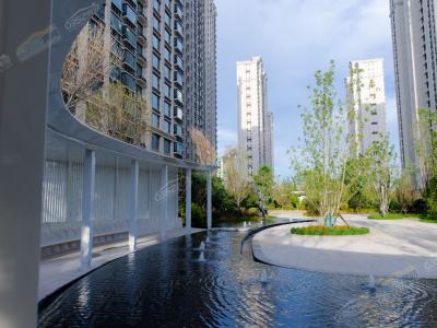 2023.8.31�ս��������D