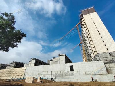 2023.9.10�|��(c��)��(sh��)���D