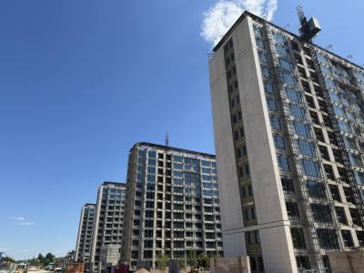 2024.06�ߌӌ����D