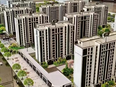 ɳ�P�����D