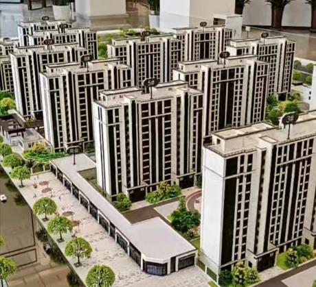 ɳ�P�����D