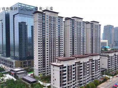 2024.07.31���������D