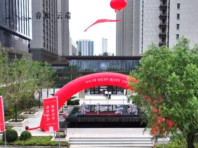 2024.07.31���������D