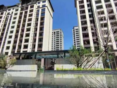 2024.08�����D