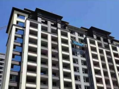 2024.08�����D