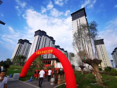 2024.8.31���������D