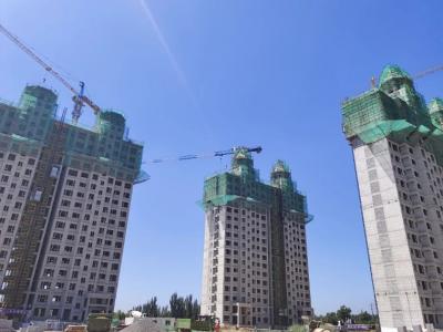 2024.08�����D