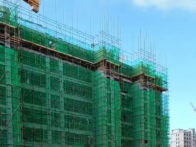 2024.10�����D