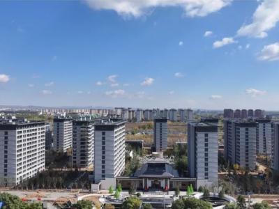 2024.11�¾���孺����̌����D