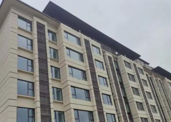 2024��11�� �̹��@�P���_�����M�Ȳ���