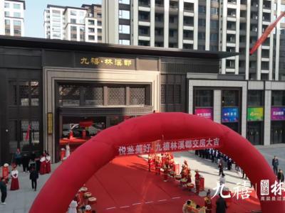 2024.11.3���������D