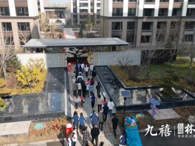 2024.11.3���������D