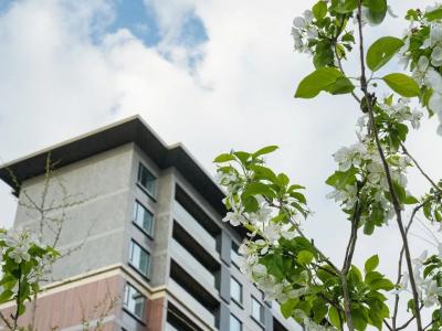 2025.3.28���\ɽ�@������(sh��)���D